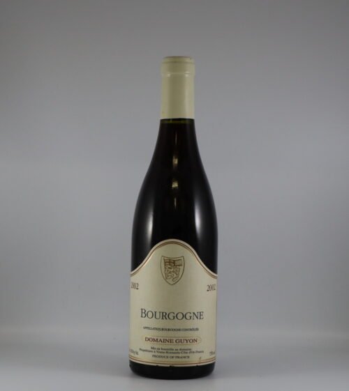 2002 Domaine Guyon Bourgogne